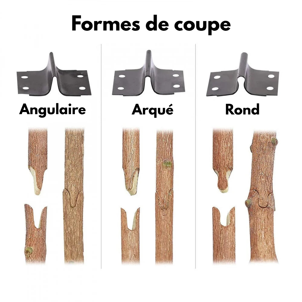 Outil de greffage professionnel