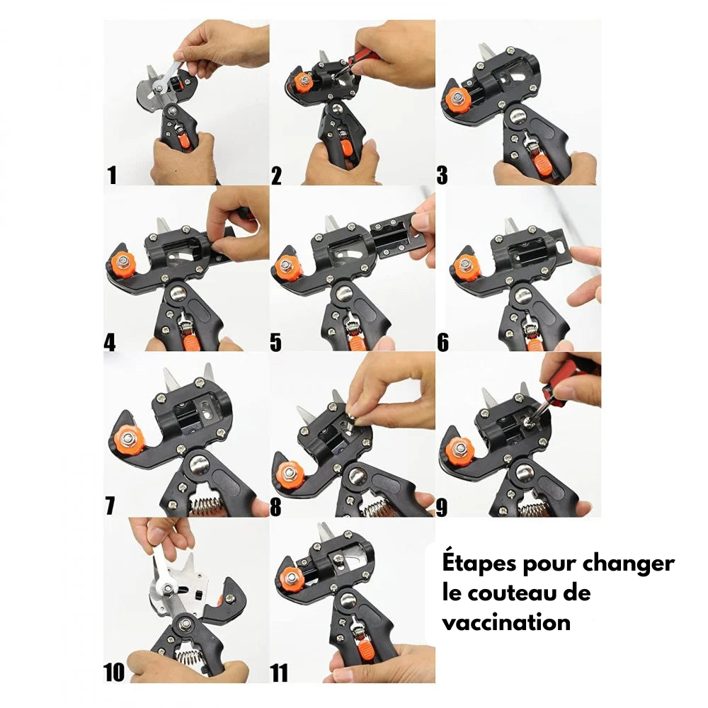 Outil de greffage professionnel