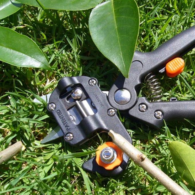 Outil de greffage professionnel